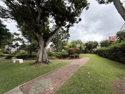 Clover Park (D20), Terrace #514503921